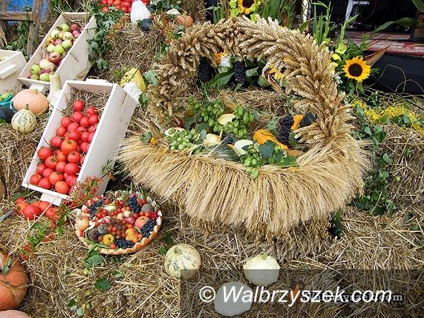 REGION, Świebodzice: Zapraszamy na dożynki w Cierniach