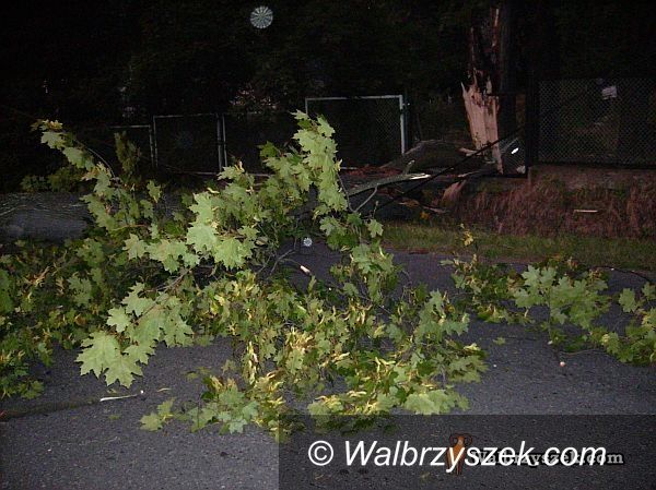 REGION, Walim: Walim zablokowany przez drzewo