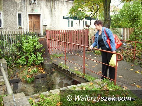 Wałbrzych: Trudna walka ze szczurami