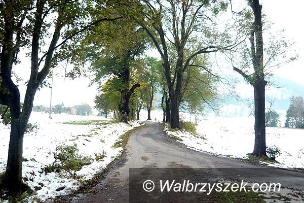 REGION, Boguszów-Gorce: Drogowe inwestycje