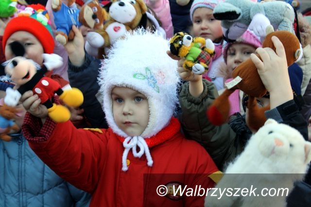 Wałbrzych: 1000 pluszaków 40 minut