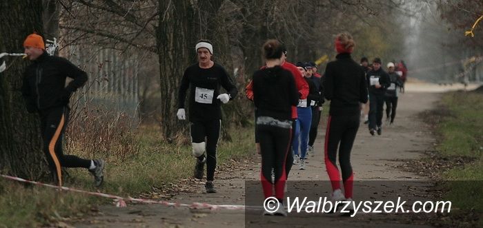 Wałbrzych, Podzamcze: Druga odsłona Idola przed nami