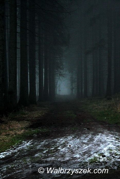 Unisław Śląski / Boguszów / Wałbrzych: Wałbrzyskim szlakiem, tym razem z Unisławia Śląskiego