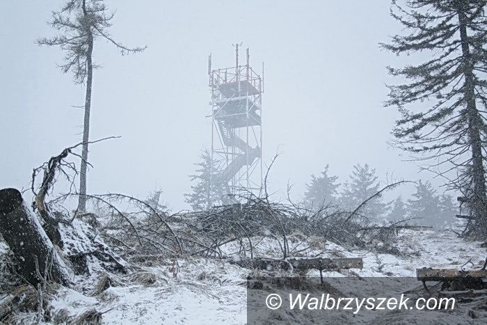 Mieroszów / Głuszyca: Z Mieroszowa do Głuszycy