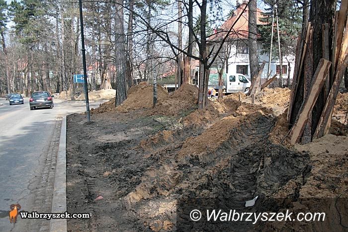 REGION, Szczawno-Zdrój: Wytną tylko 10 drzew