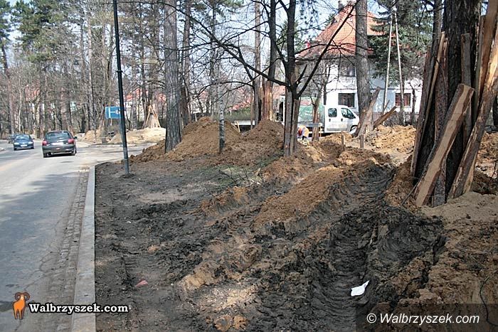 REGION, Szczawno-Zdrój: Wytną tylko 10 drzew