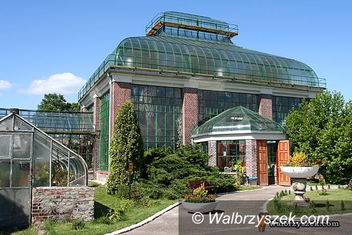 Wałbrzych: Palmiarnię czas sprzedać