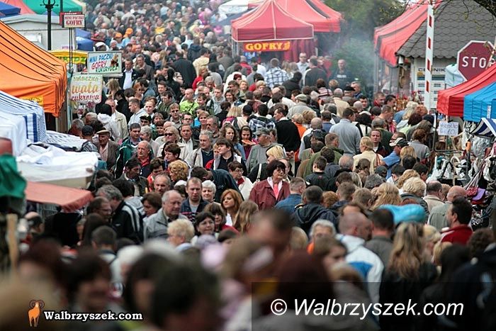 Wałbrzych: XXII Festiwal Kwiatów i Sztuki rozpoczęty