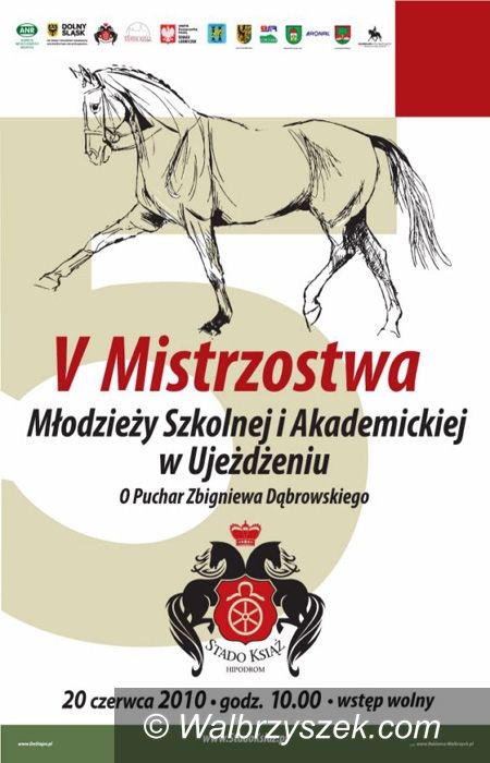 Wałbrzych: Konkurs w ujeżdżeniu