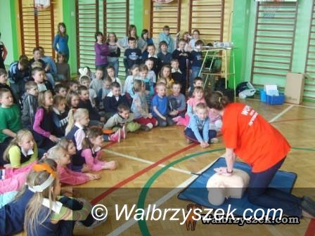 Wałbrzych: W ZS–P nr 1 postawili na ekologię