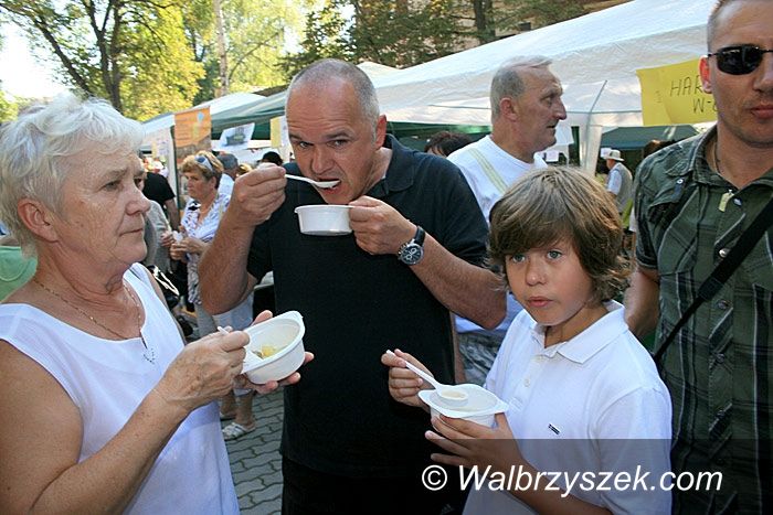 REGION, Jedlina-Zdrój: Zupa doprawiona po meksykańsku