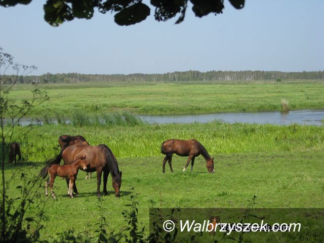 Kraj: Wakacyjne Podlasie – natura i pogranicze kultur
