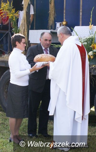 REGION, Stare Bogaczowice: Dożynki w Starych Bogaczowicach