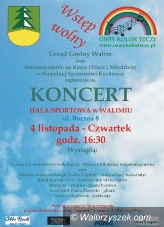 REGION, Walim: Dziś koncert w Walimiu