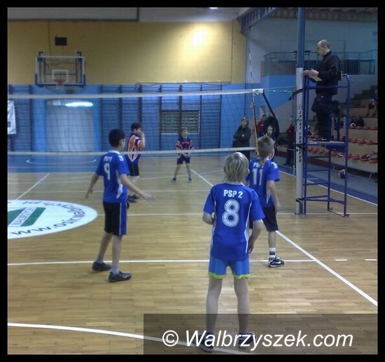 Wałbrzych: Złoto dla SP nr 12