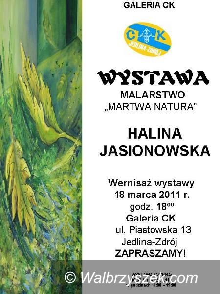 REGION, Jedlina-Zdrój: Ciekawa wystawa w Jedlinie–Zdroju