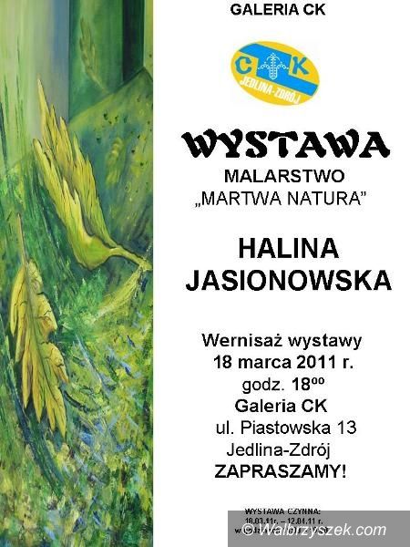 REGION, Jedlina-Zdrój: Ciekawa wystawa w Jedlinie–Zdroju