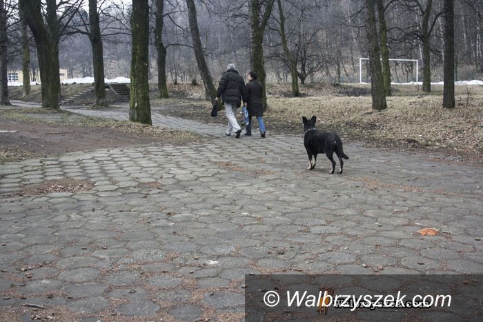 Wałbrzych: Trochę śmierdząca sprawa