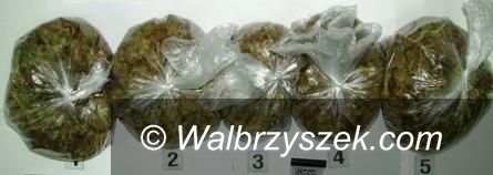 Wałbrzych/REGION: Marihuana w rękach policji