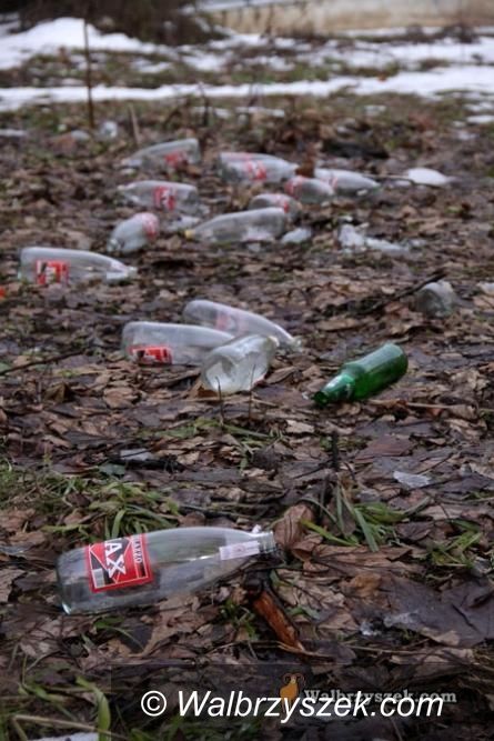 Wałbrzych: Strażnicy kontrolują i sprawdzają stan czystości miasta