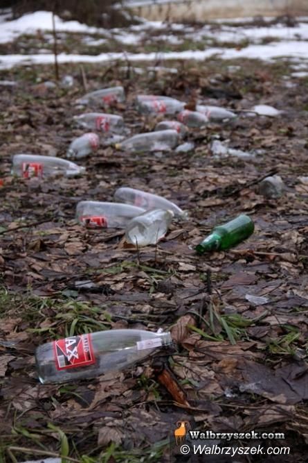 Wałbrzych: Strażnicy kontrolują i sprawdzają stan czystości miasta