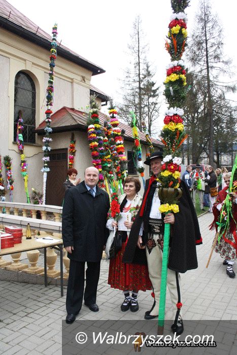 REGION, Czarny Bór: Palmy wysokie do nieba