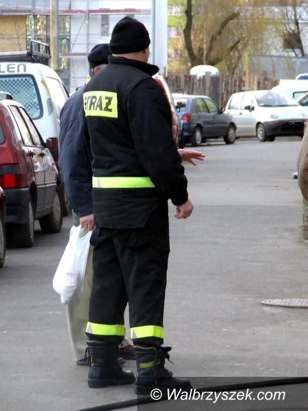 Wałbrzych: Uratowana sarna