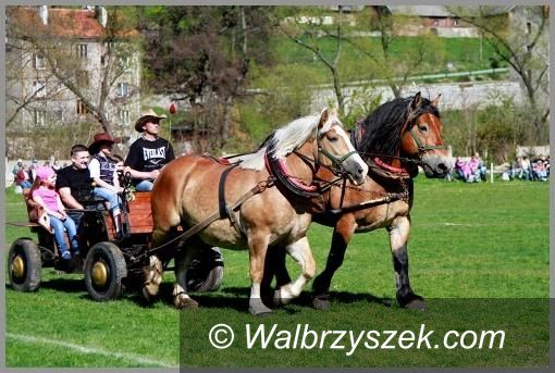 REGION, Głuszyca: Mieszkańcy Głuszycy pomagają Weronice