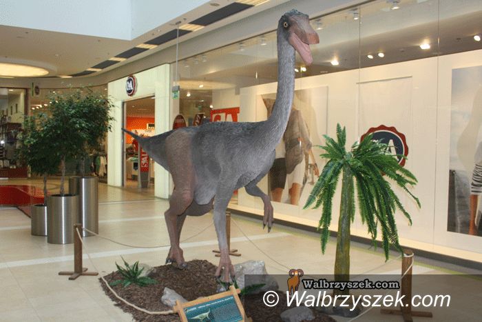 Wałbrzych: Dinozaury powróciły i są w… Wałbrzychu