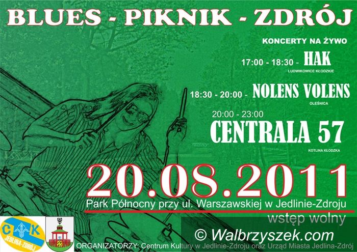 REGION, Jedlina-Zdrój: Najpierw wystawa, a później piknik