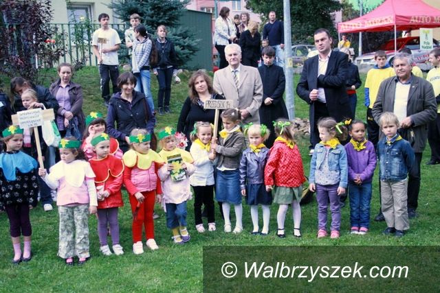 Wałbrzych: Pola nadziei