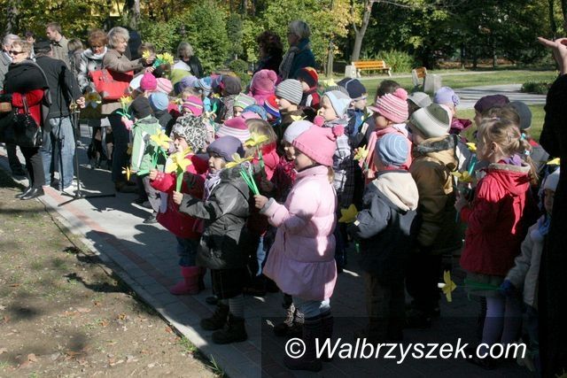 Szczawno - Zdrój: „Pola Nadziei” w Szczawnie–Zdroju
