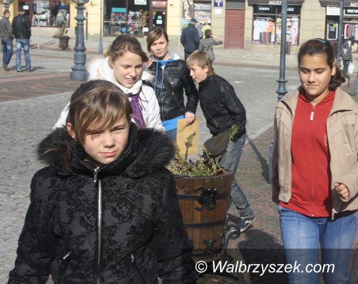 Wałbrzych: Znają tajemnice Śródmieścia