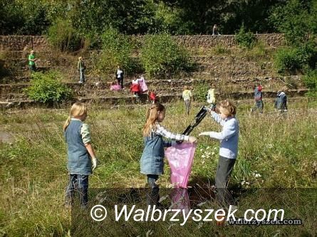 REGION, Walim: Będą zbierać elektrośmieci