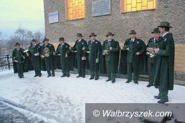 Wałbrzych: Odgłosy kniei na Konradowie