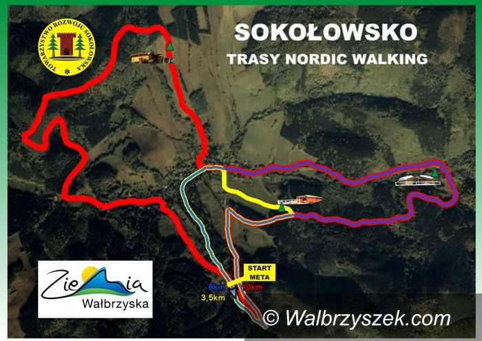Wałbrzych/REGION: Z kijkami po zdrowie