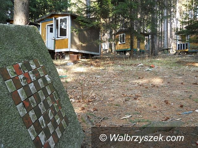 REGION, Zagórze Śląskie: Tu na razie jest ściernisko