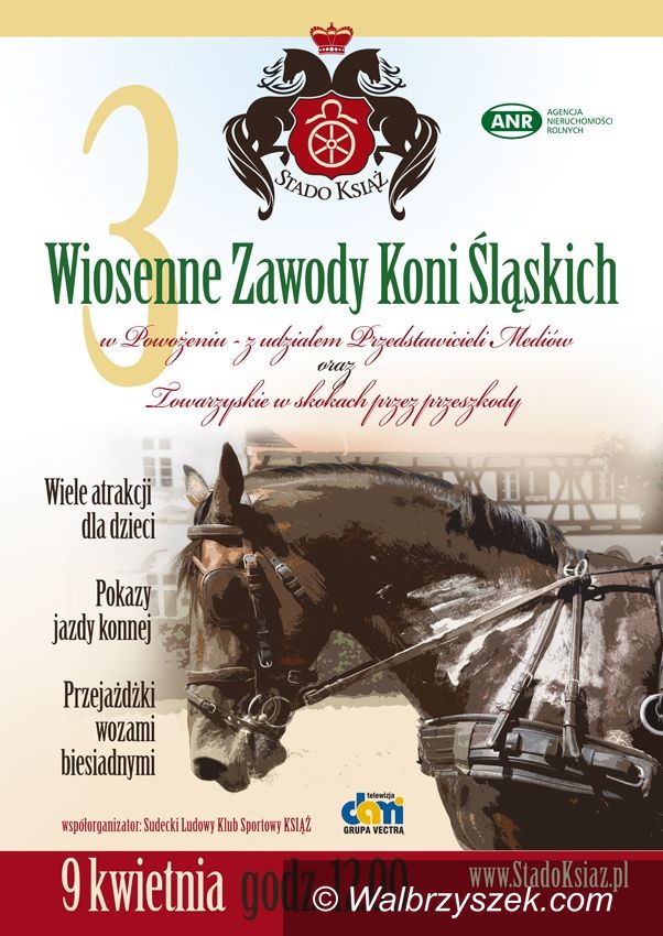 Wałbrzych: Już wkrótce III Wiosenne Zawody Koni Śląskich