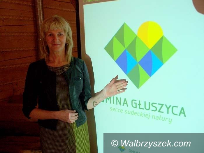 REGION, Głuszyca: Szykuje się kolejne referendum w powiecie wałbrzyskim
