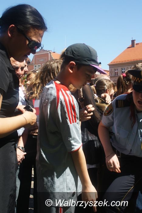Wałbrzych: Ukwiecili wałbrzyski Rynek