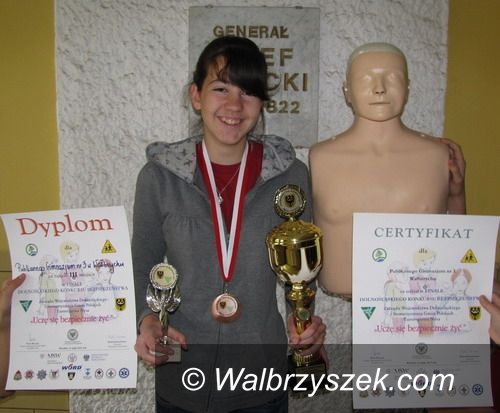 Wałbrzych: Brązowa Paulina