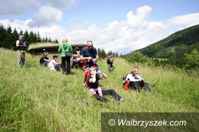 Sokołowsko: II Festiwal Nordic Walking Ziemi Wałbrzyskiej