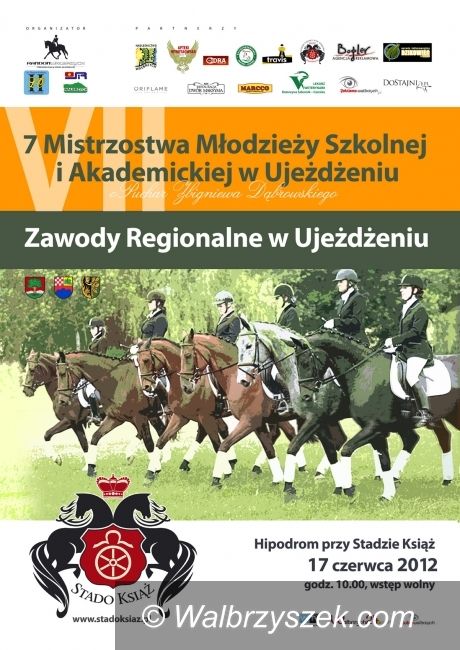 Wałbrzych: Już jutro zawody w ujeżdżeniu