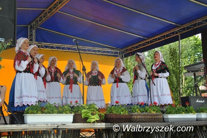 Wałbrzych: Już dziś festyn rodzinny na Poniatowie