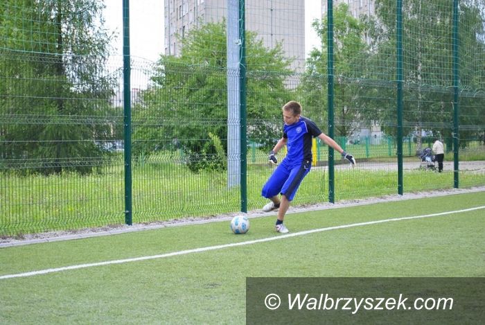 Wałbrzych: Zajęcia z OSiRem