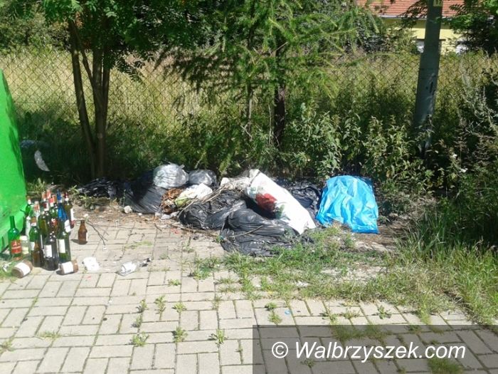 Wałbrzych: Na Witosa nie dbają o czystość