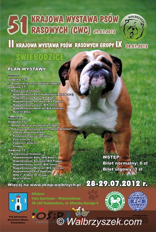 Świebodzice: Cztery łapy rządzą w weekend