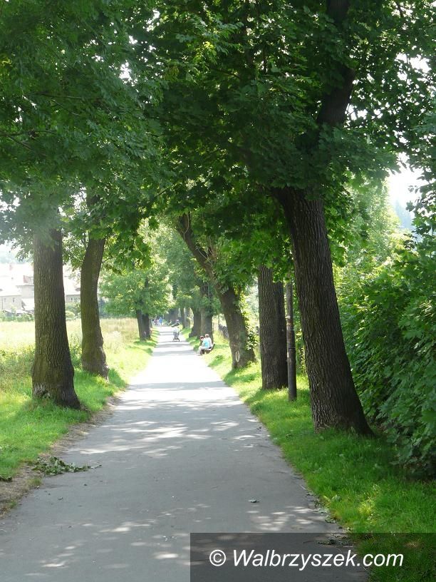 REGION, Boguszów-Gorce: Ławki w całym mieście