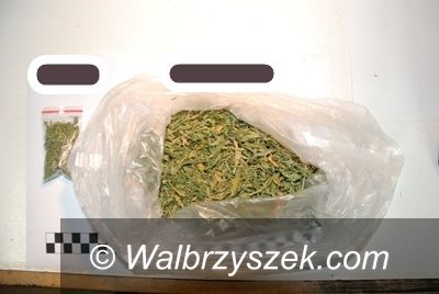 Region: Obywatel Czech zatrzymany z marihuaną