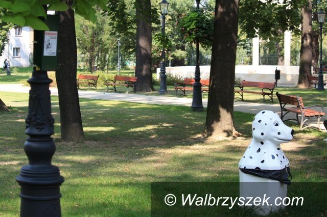 Świebodzice: Weź torebkę i posprzątaj